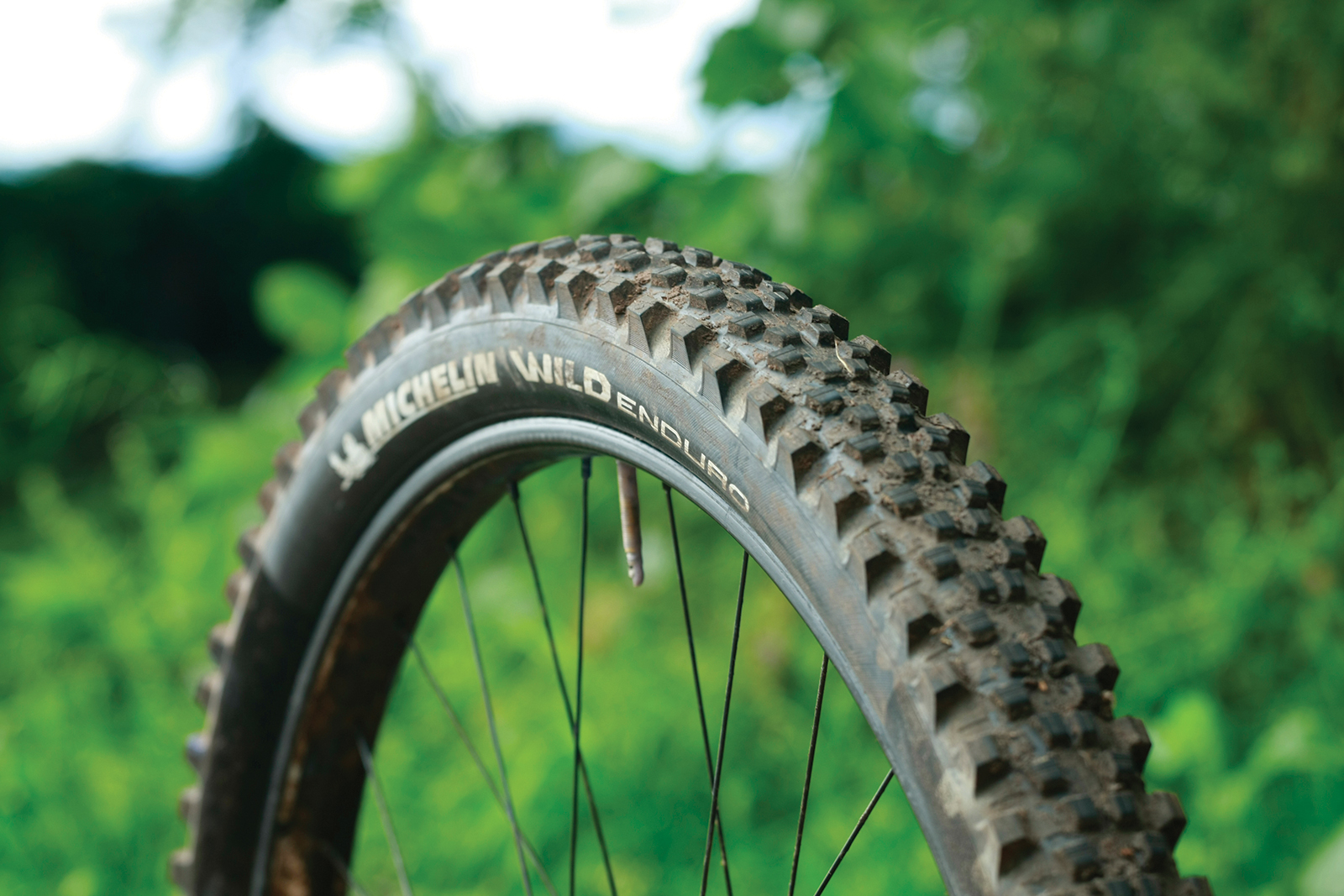 Michelin Wild Enduro Rear Michelin Wild Enduro Rear mountain bike tyre