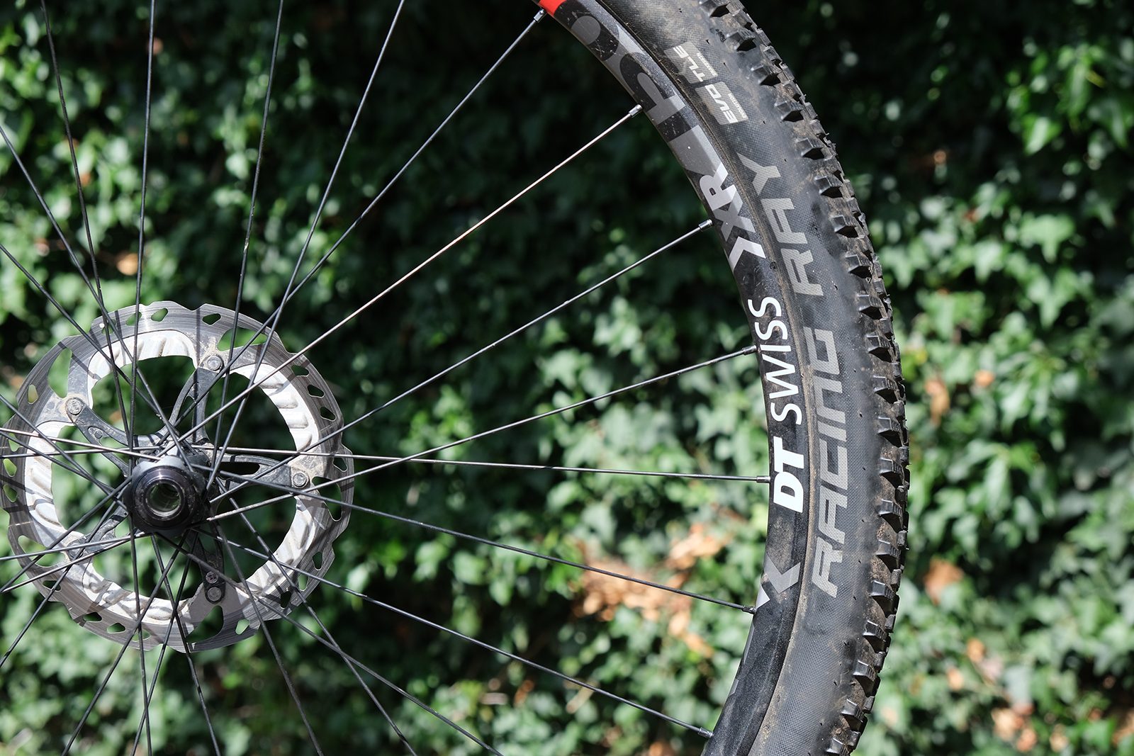 Schwalbe Racing Ray Addix Speed