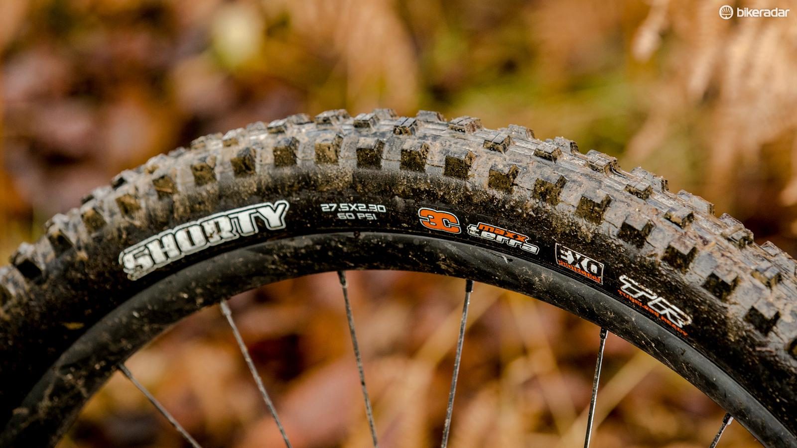 Maxxis Shorty 3C EXO TR