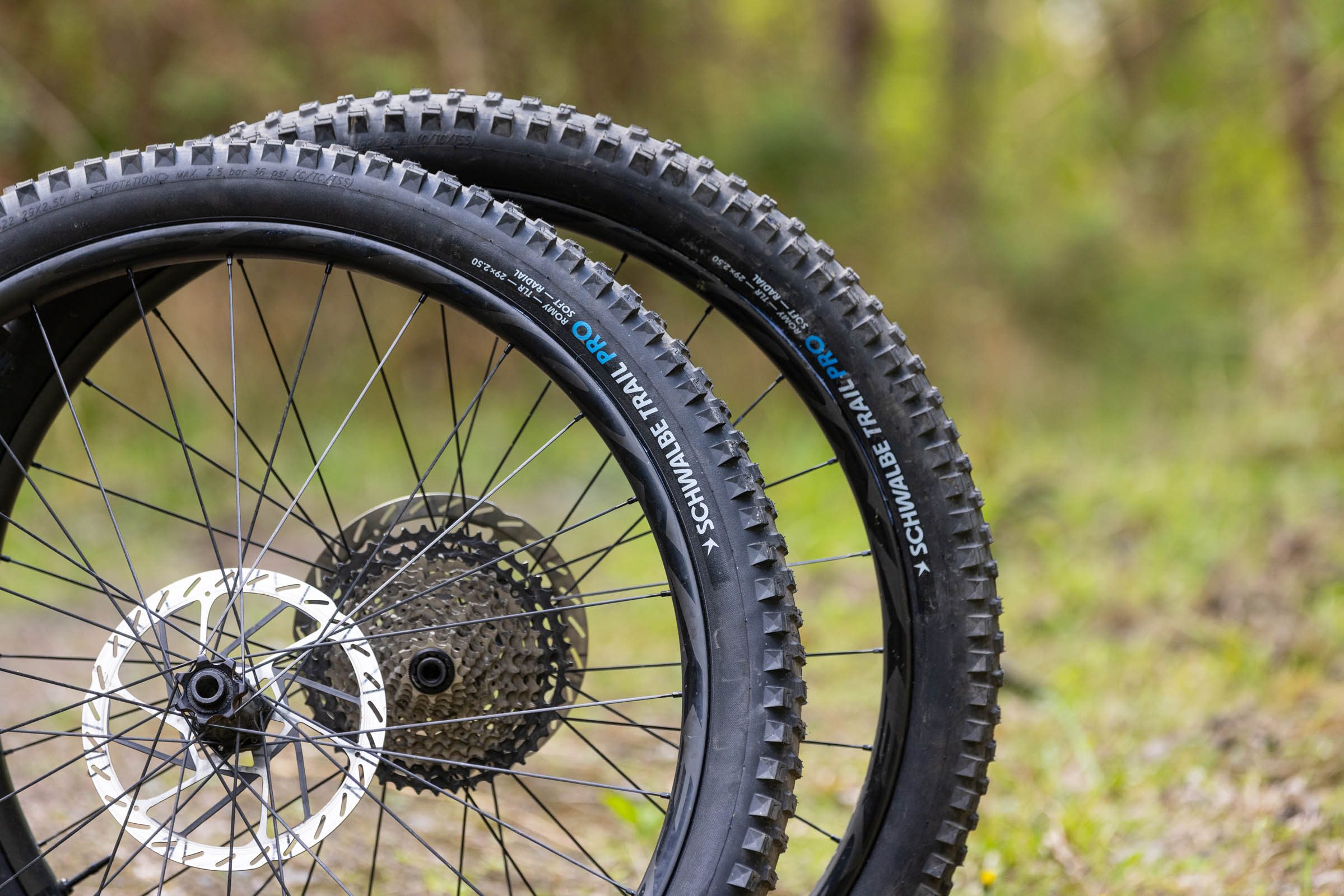 Pair of Schwalbe Romy Trail Pro Radial Soft mountain bike tyres mounted on wheels in woodland.
