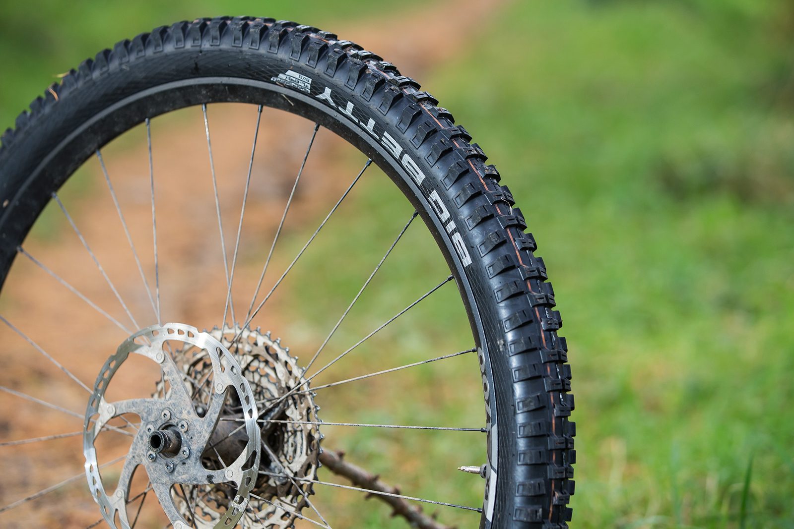 Schwalbe Big Betty EVO Super Gravity Addix Soft mountain bike tyre