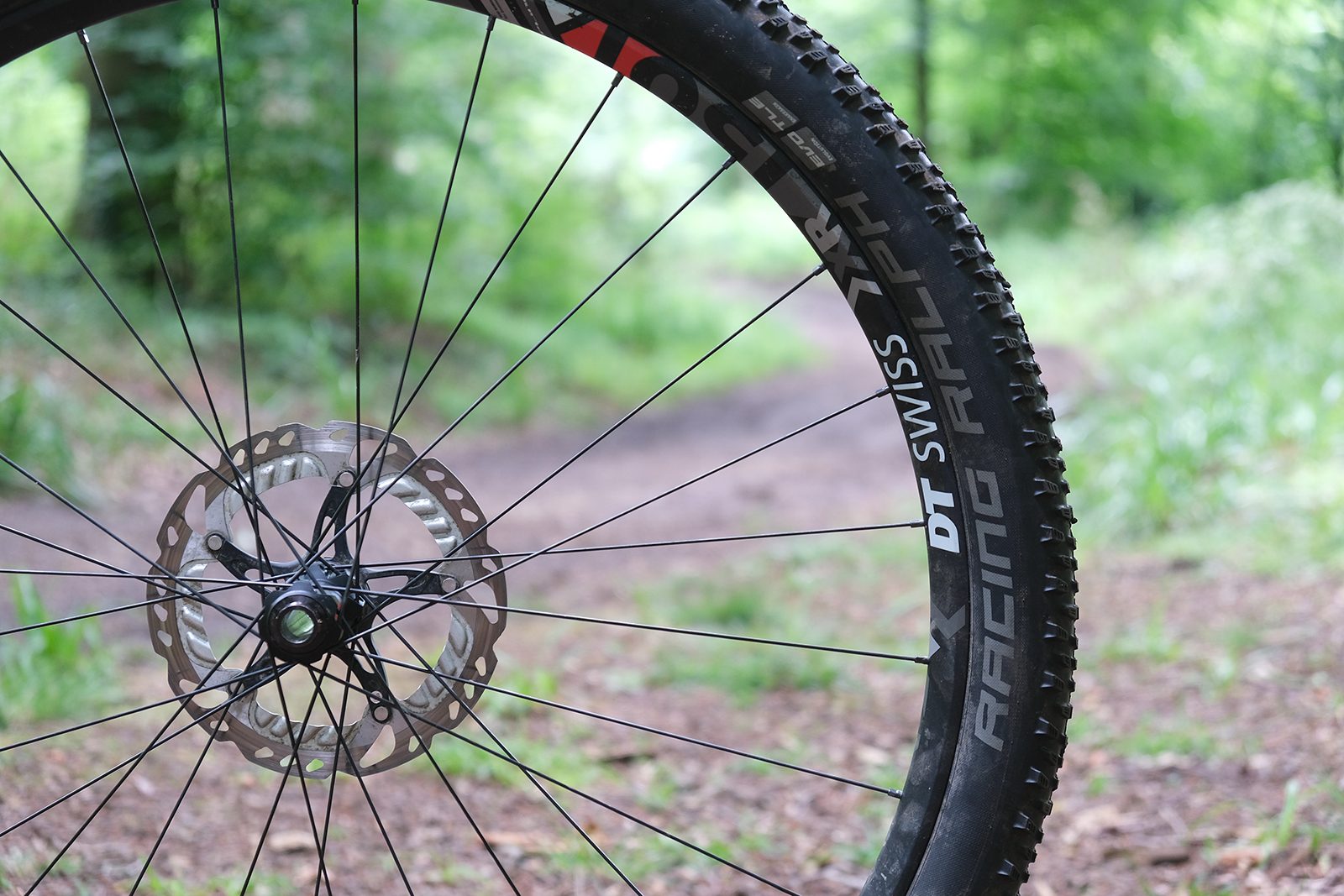 Schwalbe Racing Ralph EVO TLE mountain bike tyre