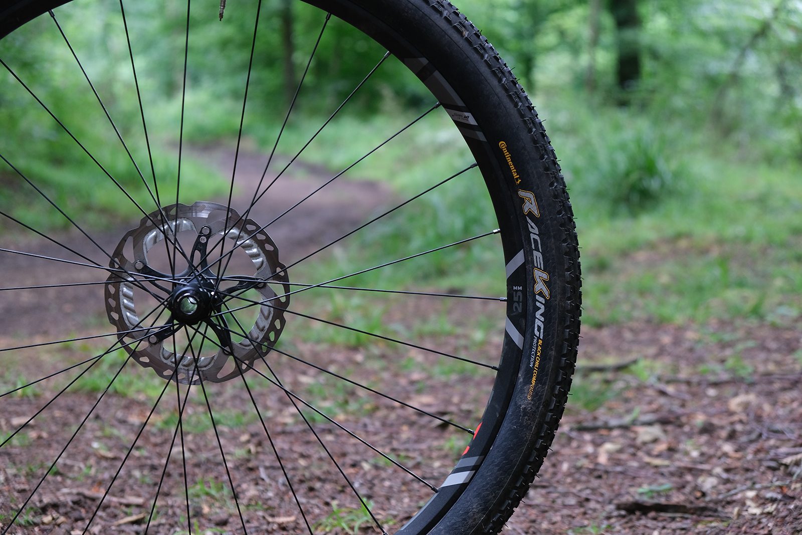 Continental Race King BlackChili Protection mountain bike tyre