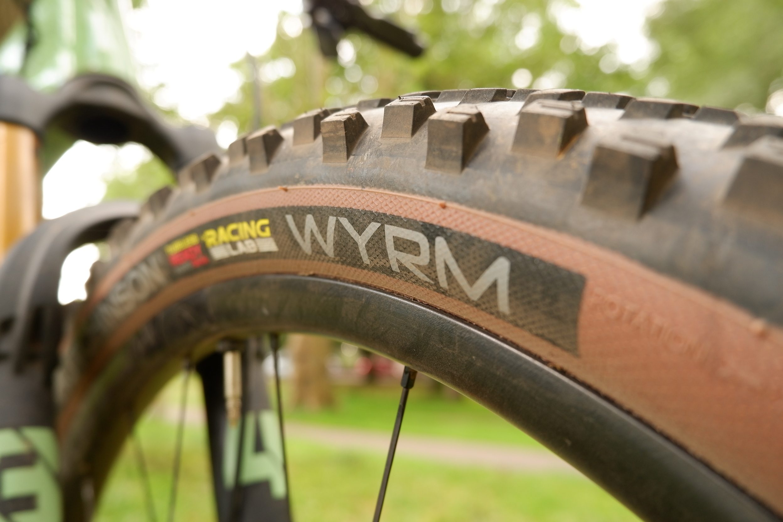 Hutchinson Wyrm logo