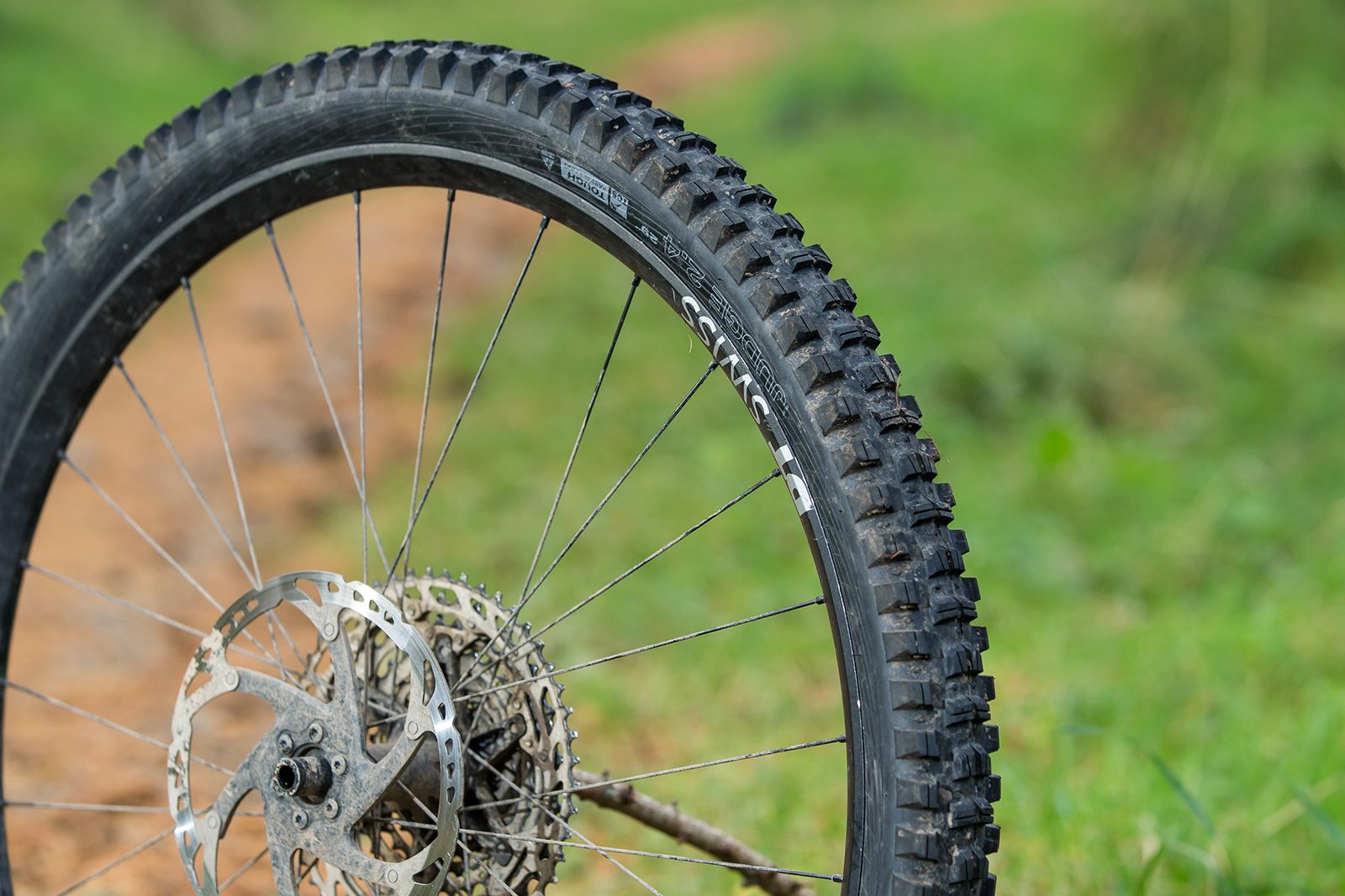 WTB Judge TCS Tough Fast Rolling mountain bike tyre