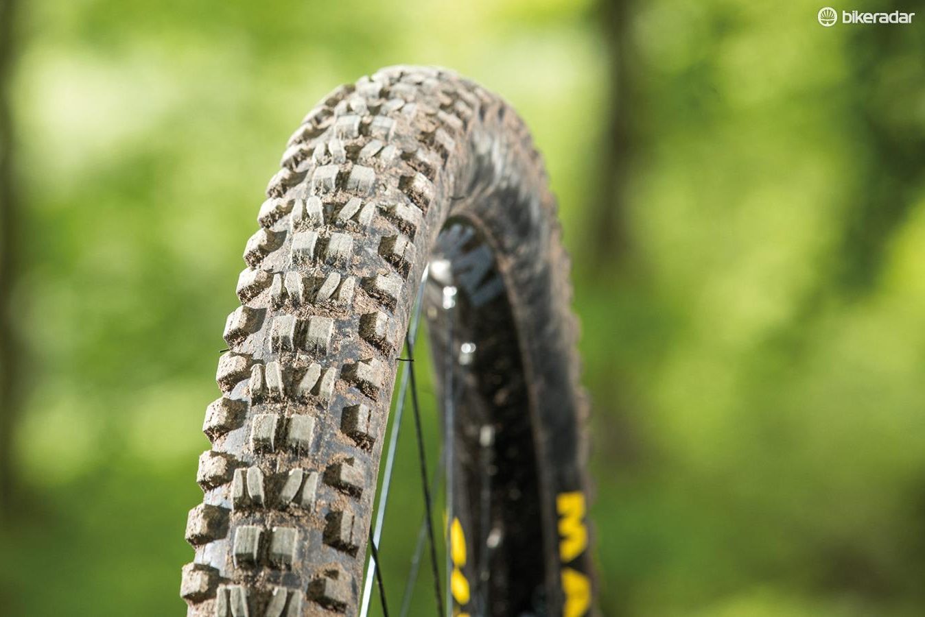 Maxxis's Minion DHF Wide Trail 3C TR EXO 2.5in tyre
