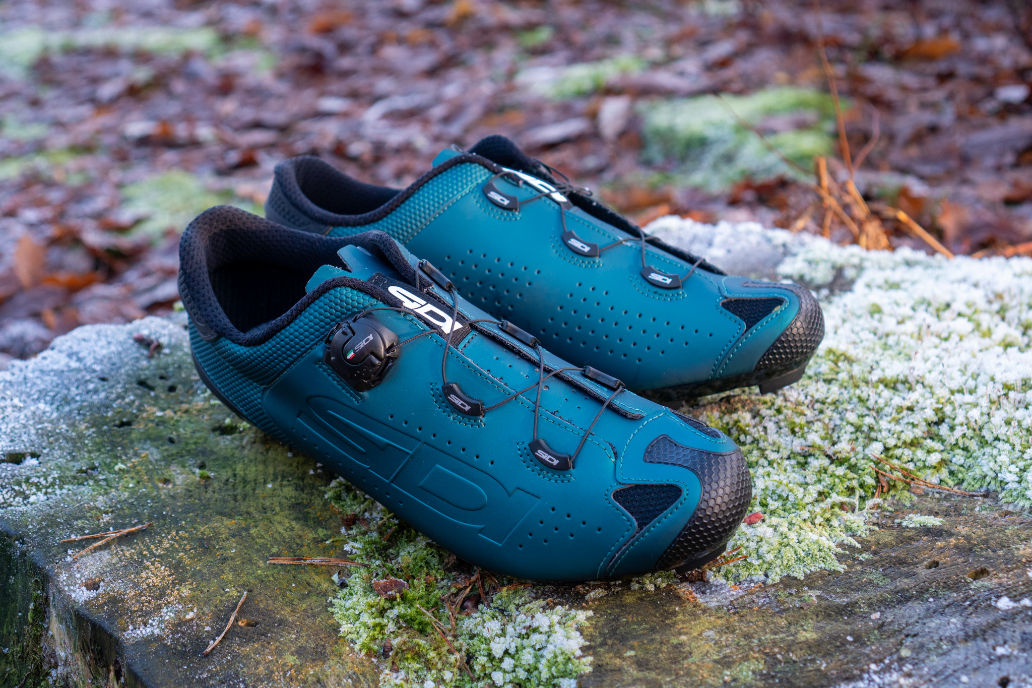 Sidi Dust MTB shoes on a wooden stump Sidi Dust MTB shoes on a wooden stump