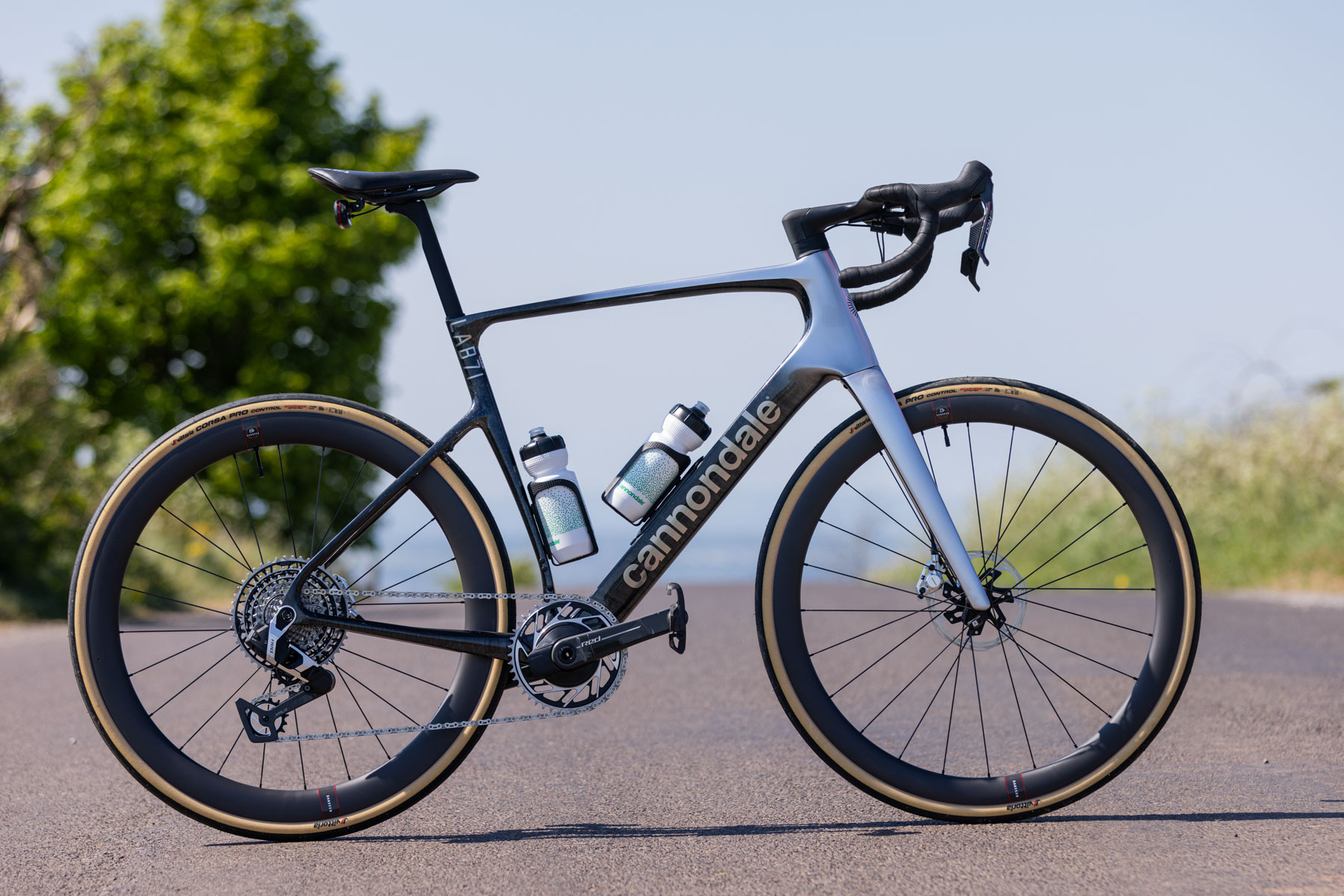 Synapse Lab71